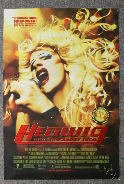 hedwig and the angry inch.JPG